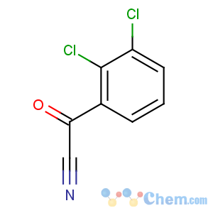 CAS No:77668-42-9 2,3-dichlorobenzoyl cyanide