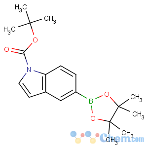 CAS No:777061-36-6 tert-butyl<br />5-(4,4,5,5-tetramethyl-1,3,2-dioxaborolan-2-yl)indole-1-carboxylate