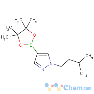 CAS No:777063-41-9 1-(3-methylbutyl)-4-(4,4,5,5-tetramethyl-1,3,<br />2-dioxaborolan-2-yl)pyrazole