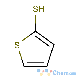 CAS No:7774-74-5 thiophene-2-thiol