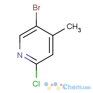 CAS No:778611-64-6 5-bromo-2-chloro-4-methylpyridine