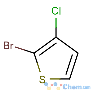 CAS No:77893-68-6 2-bromo-3-chlorothiophene