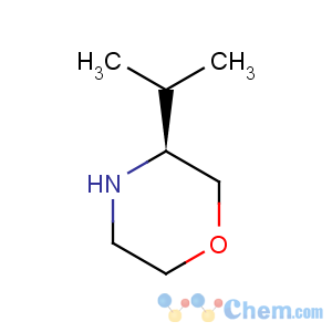 CAS No:77897-21-3 Morpholine,3-(1-methylethyl)-, (3S)-