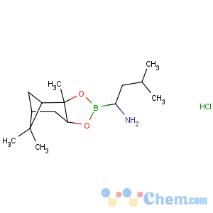 CAS No:779357-85-6 (R)-1-Amino-3-methylbutylboronic acid pinanediol ester hydrochloride