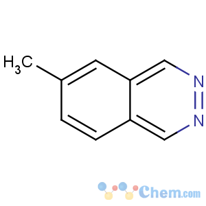 CAS No:78032-05-0 6-methylphthalazine