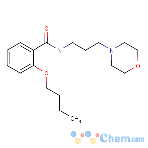 CAS No:78109-82-7 2-butoxy-N-(3-morpholin-4-ylpropyl)benzamide
