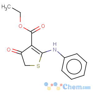 CAS No:78267-15-9 3-Thiophenecarboxylicacid, 4,5-dihydro-4-oxo-2-(phenylamino)-, ethyl ester