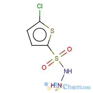 CAS No:78380-28-6 2-Thiophenesulfonicacid, 5-chloro-, hydrazide