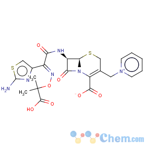 CAS No:78439-06-2 Ceftazidime