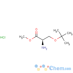 CAS No:78537-14-1 O-tert-Butyl-D-serine methyl ester hydrochloride