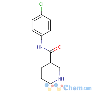 CAS No:787546-33-2 N-(4-chlorophenyl)piperidine-3-carboxamide