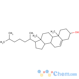 CAS No:78887-48-6 (3S,8S,9S,10R,13R,14S,17R)-10,<br />13-dimethyl-17-[(2R)-6-methylheptan-2-yl]-2,3,4,7,8,9,11,12,14,15,16,<br />17-dodecahydro-1H-cyclopenta[a]phenanthren-3-ol