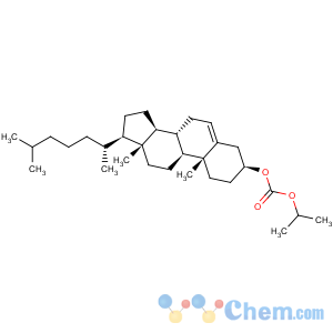 CAS No:78916-25-3 Cholest-5-en-3-ol (3b)-, 1-methylethyl carbonate (9CI)