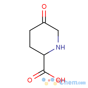 CAS No:789448-80-2 2-Piperidinecarboxylicacid, 5-oxo-
