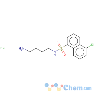 CAS No:78957-84-3 1-Naphthalenesulfonamide,N-(4-aminobutyl)-5-chloro-, hydrochloride (1:1)