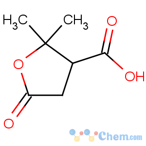 CAS No:79-91-4 2,2-dimethyl-5-oxooxolane-3-carboxylic acid