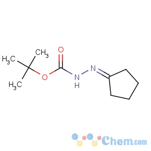 CAS No:79201-39-1 Hydrazinecarboxylicacid, 2-cyclopentylidene-, 1,1-dimethylethyl ester