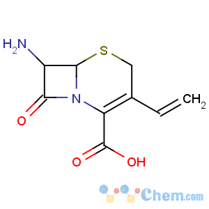 CAS No:79349-82-9 (6R,<br />7R)-7-amino-3-ethenyl-8-oxo-5-thia-1-azabicyclo[4.2.0]oct-2-ene-2-<br />carboxylic acid