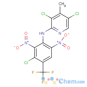 CAS No:79614-64-5 3,5-dichloro-N-[3-chloro-2,<br />6-dinitro-4-(trifluoromethyl)phenyl]-4-methylpyridin-2-amine