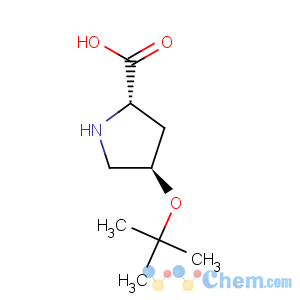 CAS No:79775-07-8 L-Proline,4-(1,1-dimethylethoxy)-, (4R)-