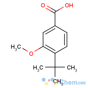 CAS No:79822-46-1 4-tert-butyl-3-methoxybenzoic acid