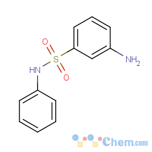 CAS No:80-21-7 3-amino-N-phenylbenzenesulfonamide