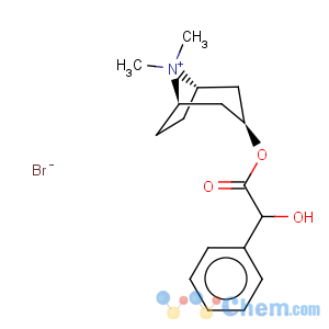 CAS No:80-49-9 Homatropine methylbromide