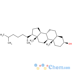 CAS No:80-97-7 Dihydrocholesterol