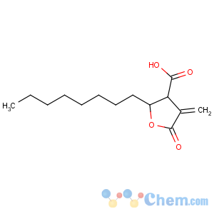 CAS No:8002-13-9 Rapeseed Oil