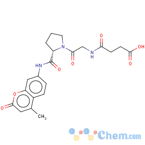 CAS No:80049-85-0 7-(Succinyl-gly-pro)-4-methylcoumarinamide