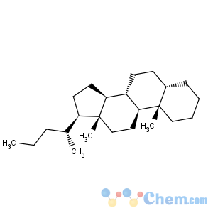 CAS No:80373-86-0 5beta(H)-Cholane
