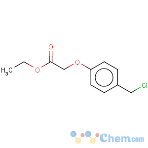 CAS No:80494-75-3 Acetic acid,2-[4-(chloromethyl)phenoxy]-, ethyl ester