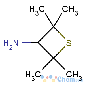 CAS No:80875-05-4 2,2,4,4-tetramethylthietan-3-amine