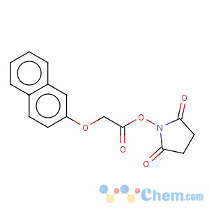 CAS No:81012-92-2 Acetic acid,2-(2-naphthalenyloxy)-, 2,5-dioxo-1-pyrrolidinyl ester