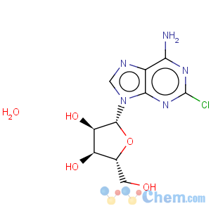 CAS No:81012-94-4 2-Chloroadenosine hemidydrate