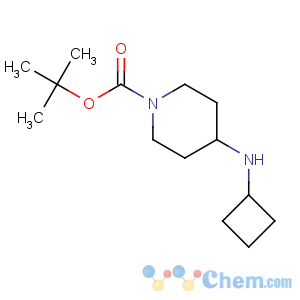CAS No:812690-41-8 1-Piperidinecarboxylicacid, 4-(cyclobutylamino)-, 1,1-dimethylethyl ester