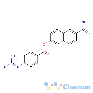 CAS No:81525-10-2 (6-carbamimidoylnaphthalen-2-yl) 4-(diaminomethylideneamino)benzoate