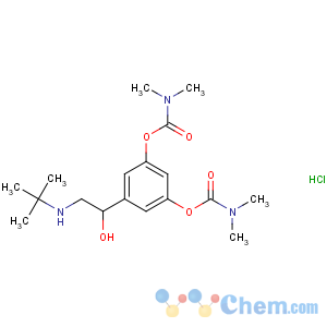 CAS No:81732-46-9 [3-[2-(tert-butylamino)-1-hydroxyethyl]-5-(dimethylcarbamoyloxy)phenyl]<br />N,N-dimethylcarbamate