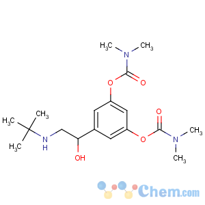 CAS No:81732-65-2 [3-[2-(tert-butylamino)-1-hydroxyethyl]-5-(dimethylcarbamoyloxy)phenyl]<br />N,N-dimethylcarbamate