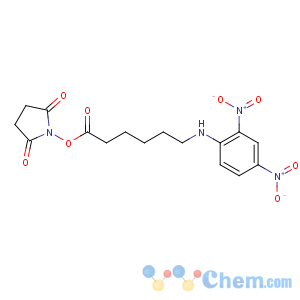 CAS No:82321-04-8 (2,5-dioxopyrrolidin-1-yl) 6-(2,4-dinitroanilino)hexanoate