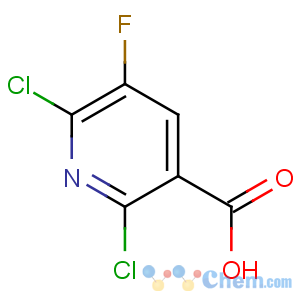 CAS No:82671-06-5 2,6-dichloro-5-fluoropyridine-3-carboxylic acid