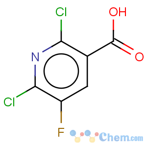 CAS No:8271-06-5 2,6-Dichloro-5-Fluoronicotinic Acid