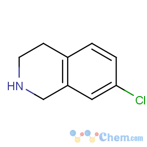 CAS No:82771-60-6 7-chloro-1,2,3,4-tetrahydroisoquinoline