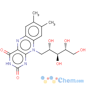 CAS No:83-88-5 Riboflavin
