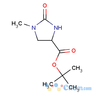 CAS No:83056-79-5 tert-butyl (4S)-1-methyl-2-oxoimidazolidine-4-carboxylate