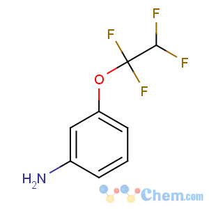 CAS No:831-75-4 3-(1,1,2,2-tetrafluoroethoxy)aniline