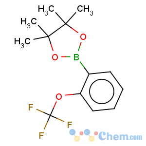 CAS No:832114-04-2 1,3,2-Dioxaborolane,4,4,5,5-tetramethyl-2-[2-(trifluoromethoxy)phenyl]-