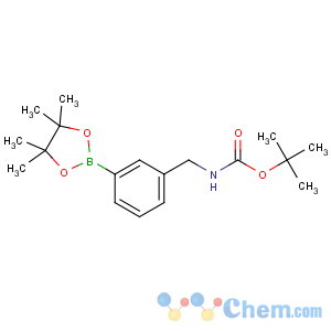 CAS No:832114-05-3 tert-butyl<br />N-[[3-(4,4,5,5-tetramethyl-1,3,<br />2-dioxaborolan-2-yl)phenyl]methyl]carbamate