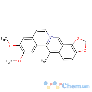 CAS No:83218-34-2 Benzo[a]-1,3-benzodioxolo[4,5-g]quinolizin-13-ium,8,9-dimethoxy-6-methyl-