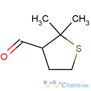 CAS No:83413-93-8 2,2-Dimethyl-tetrahydrothiophene-3-carboxaldehyde